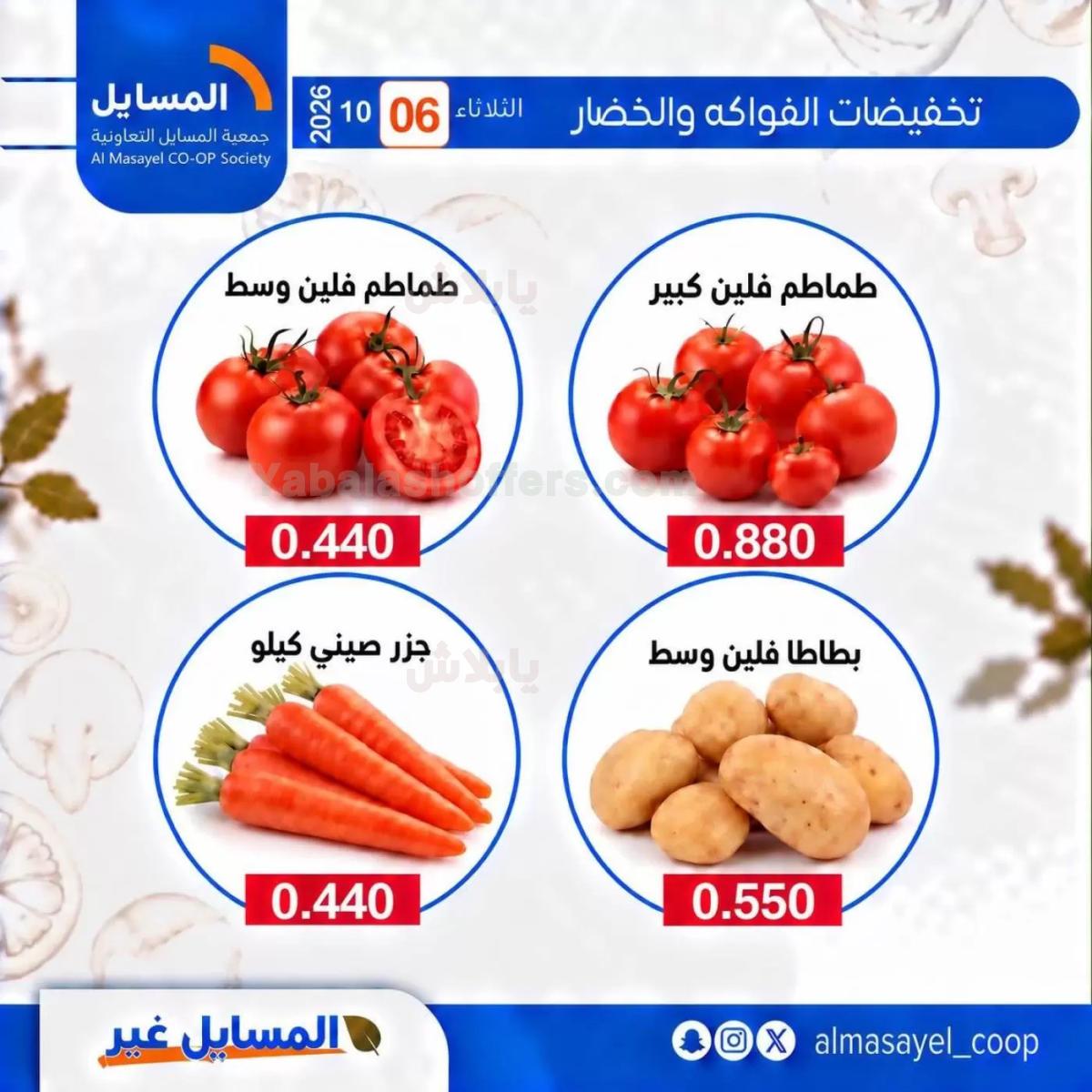 صفحة 11