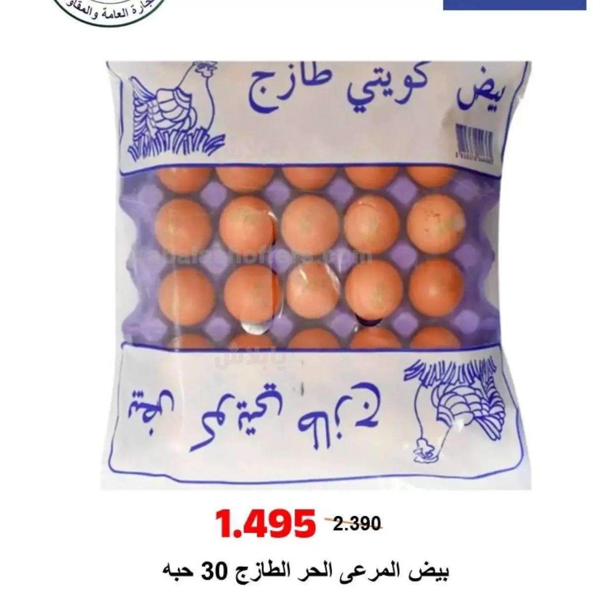 صفحة 15