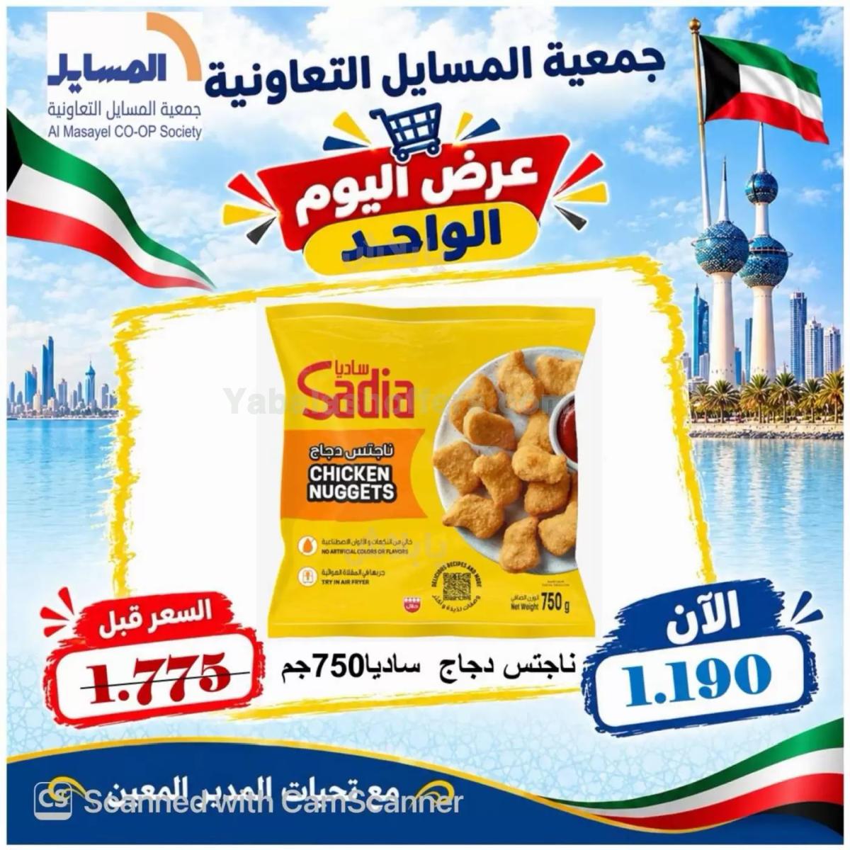 صفحة 17