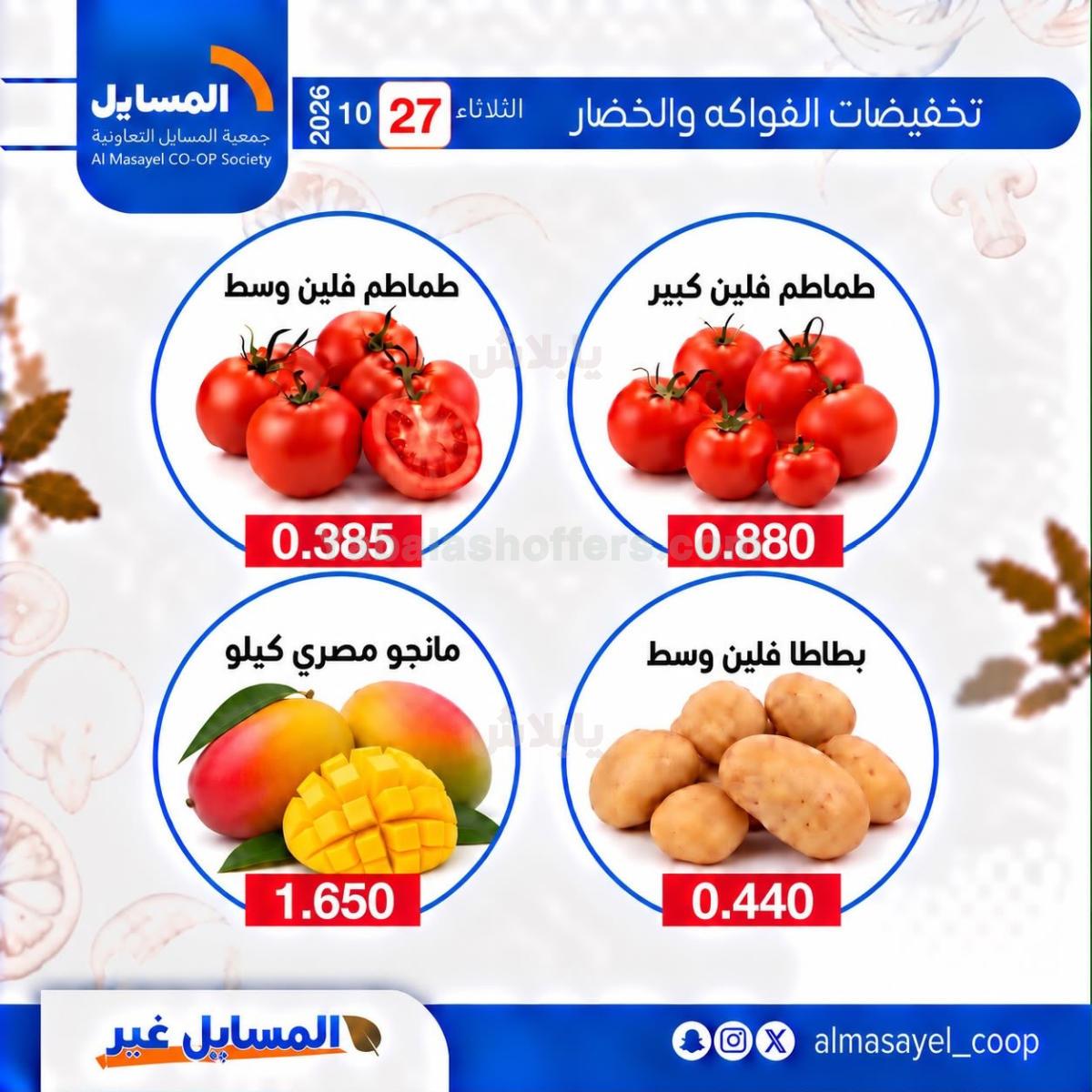 صفحة 11