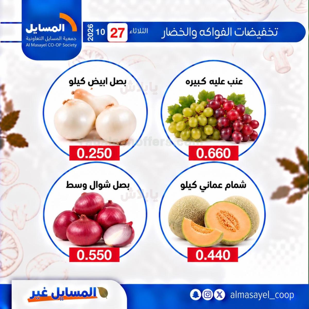 صفحة 13