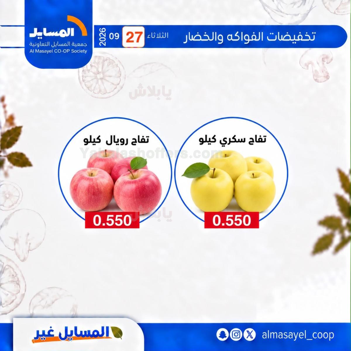 صفحة 14