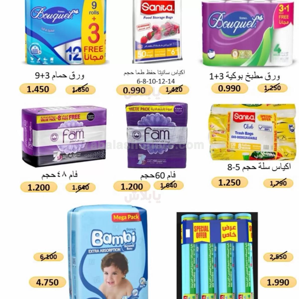 صفحة 3