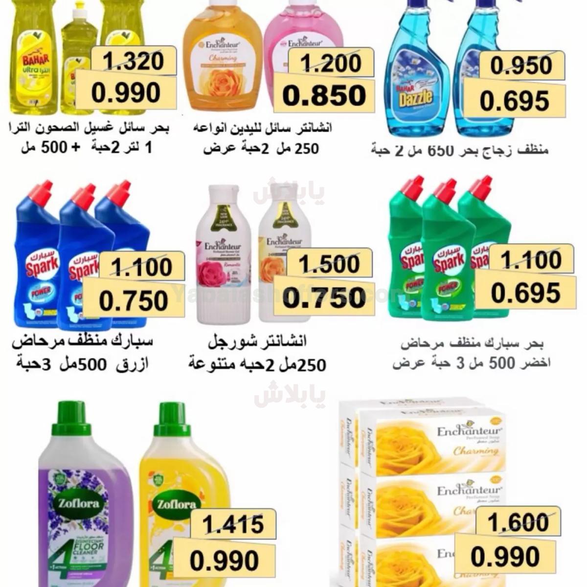 صفحة 15