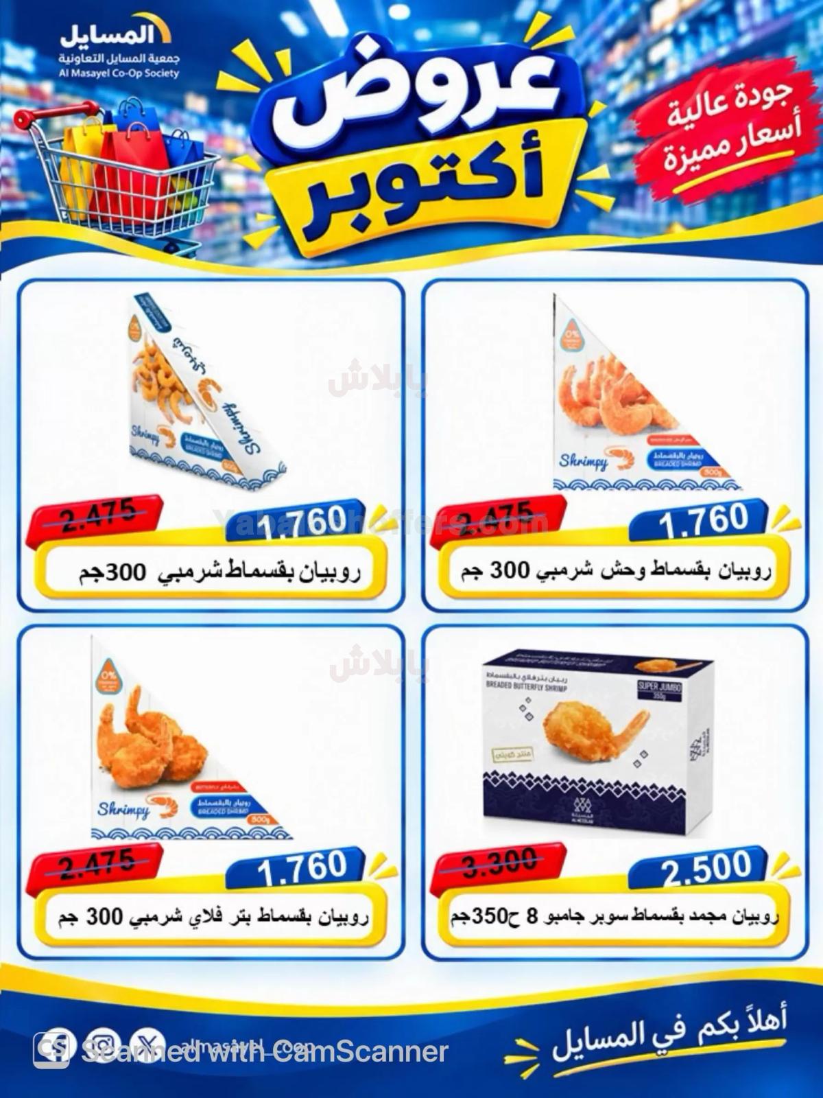 صفحة 8
