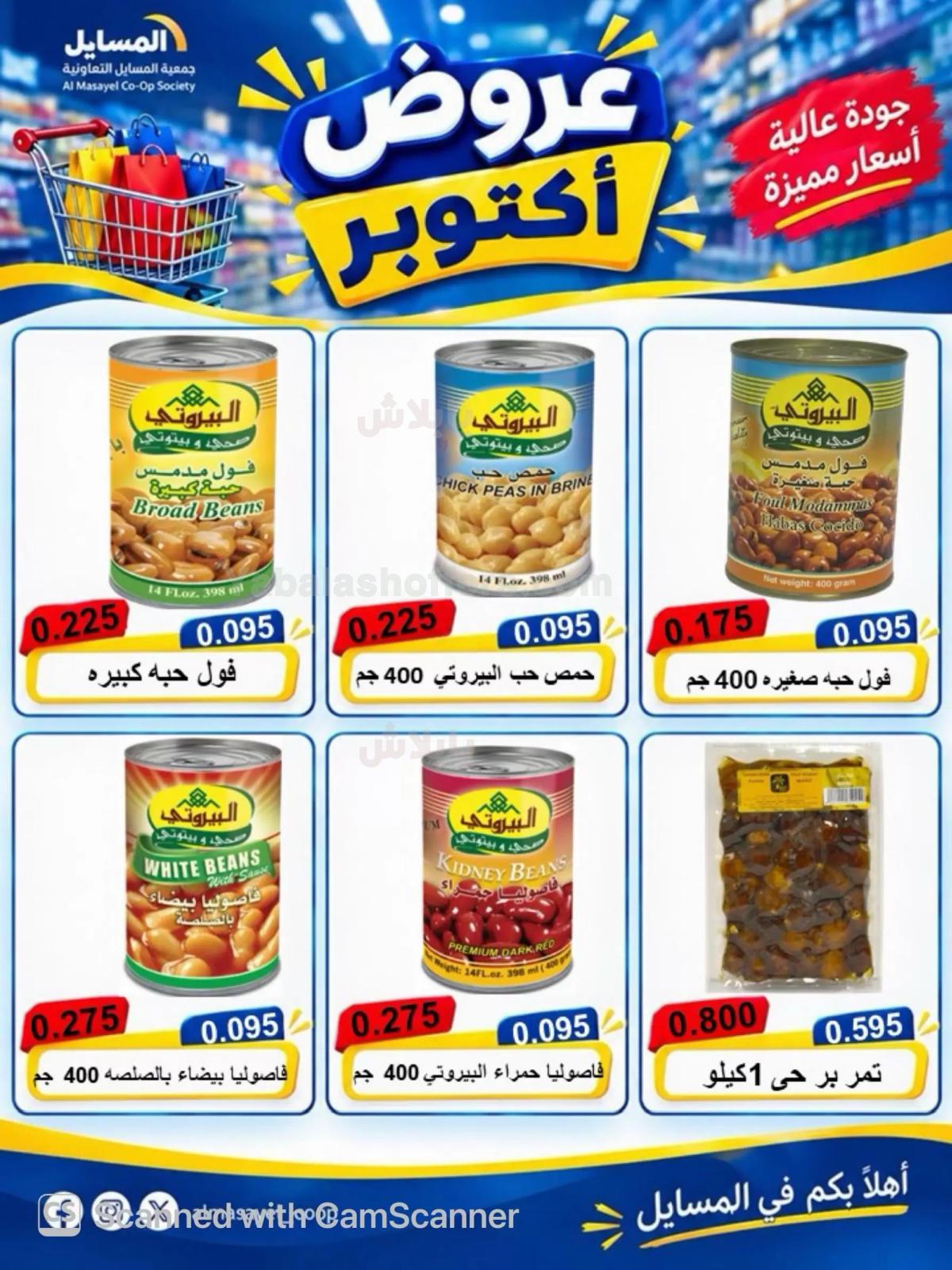 صفحة 17