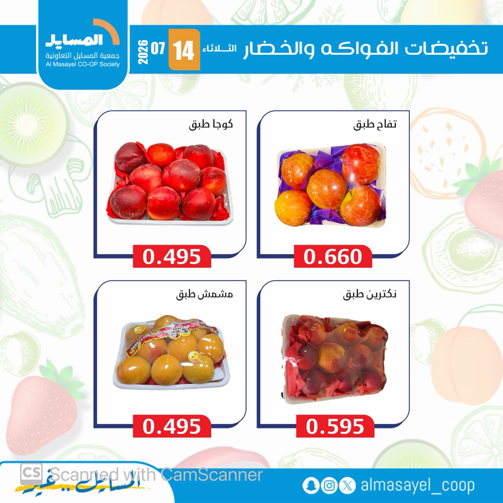 صفحة 12
