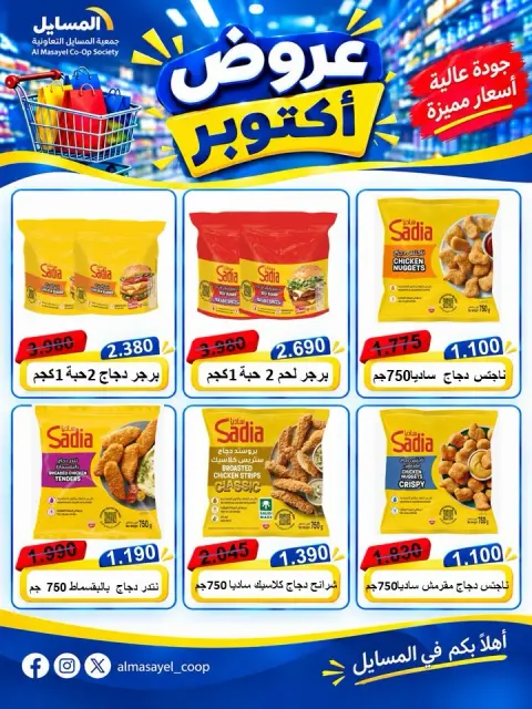 صفحة 8
