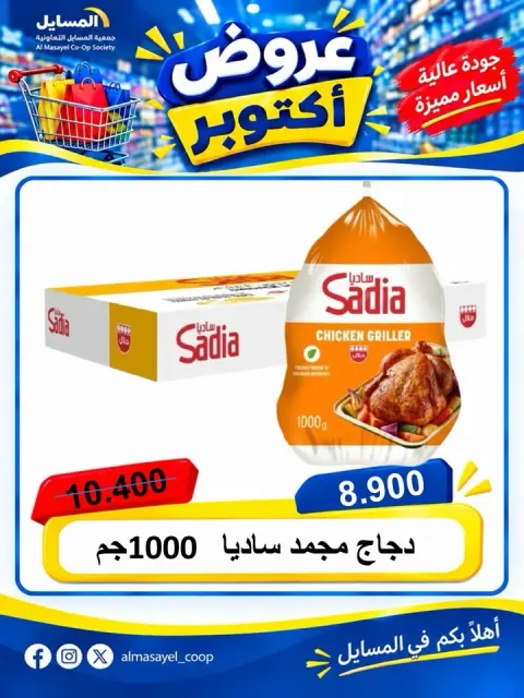 صفحة 10