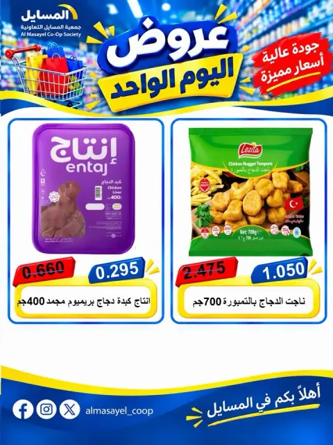 صفحة 13