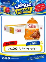 صفحة 24