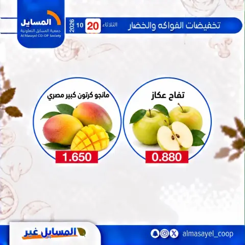 صفحة 9