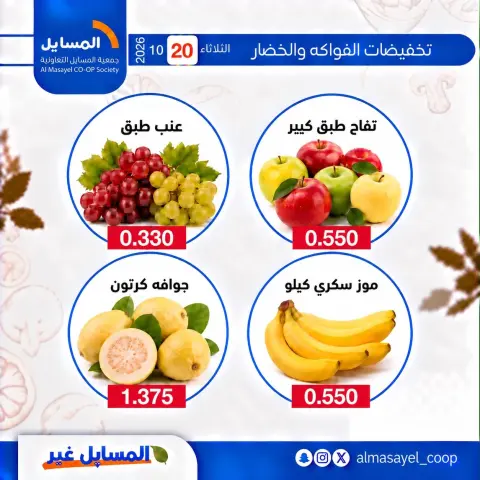 صفحة 10