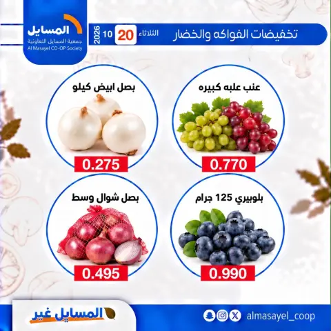 صفحة 13