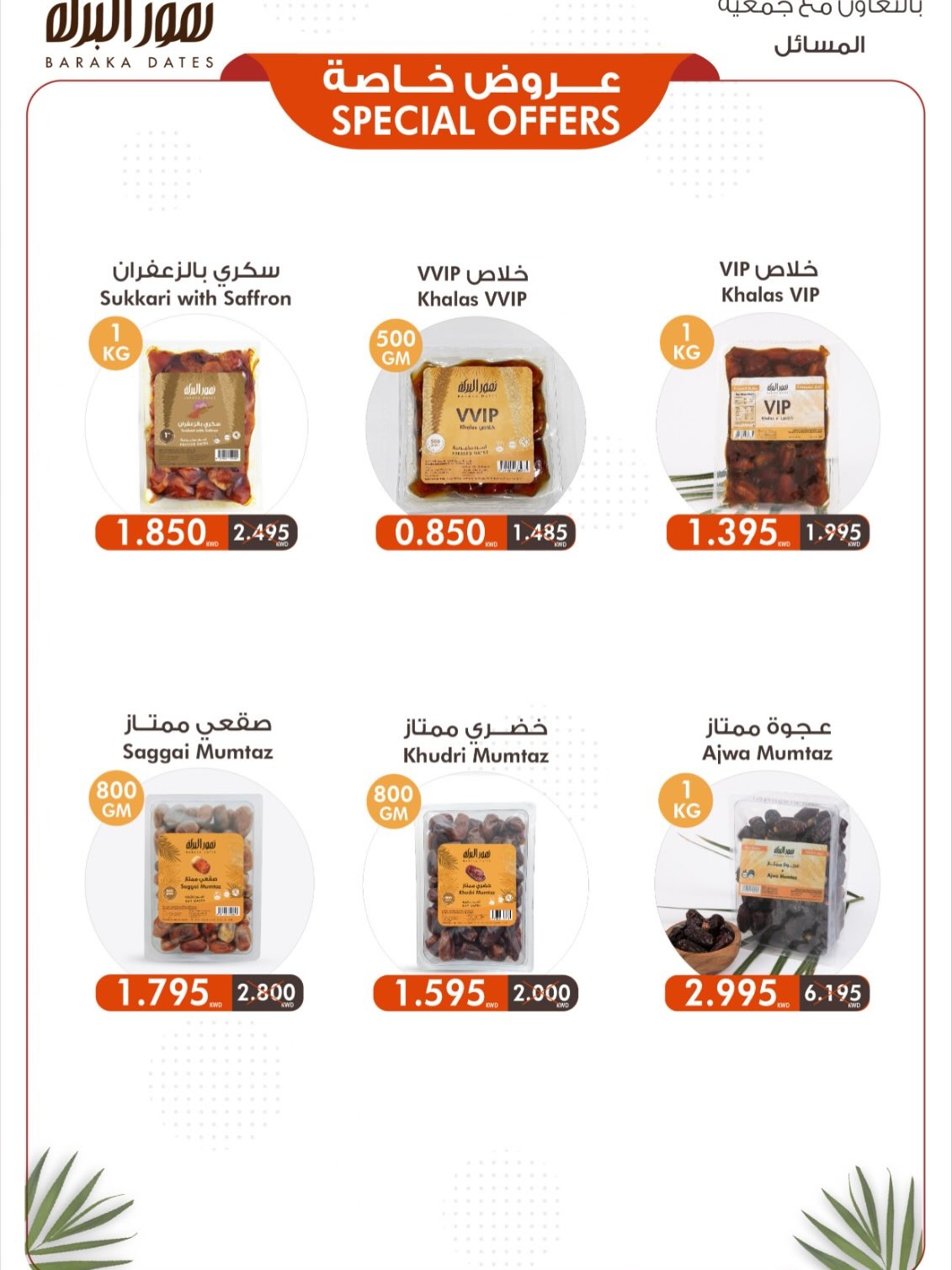 صفحة 11