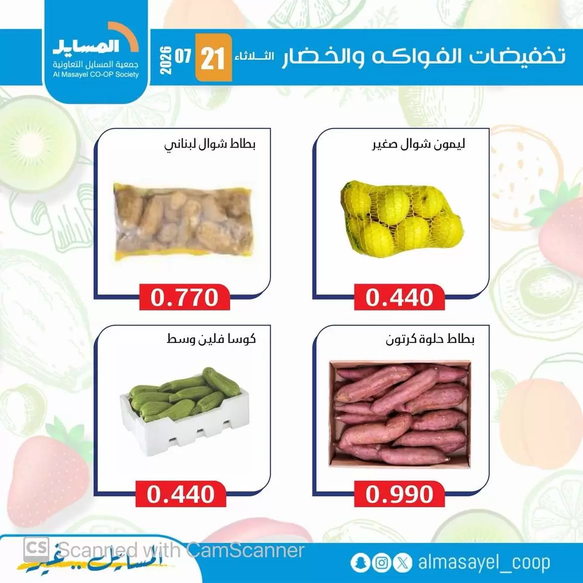 صفحة 13