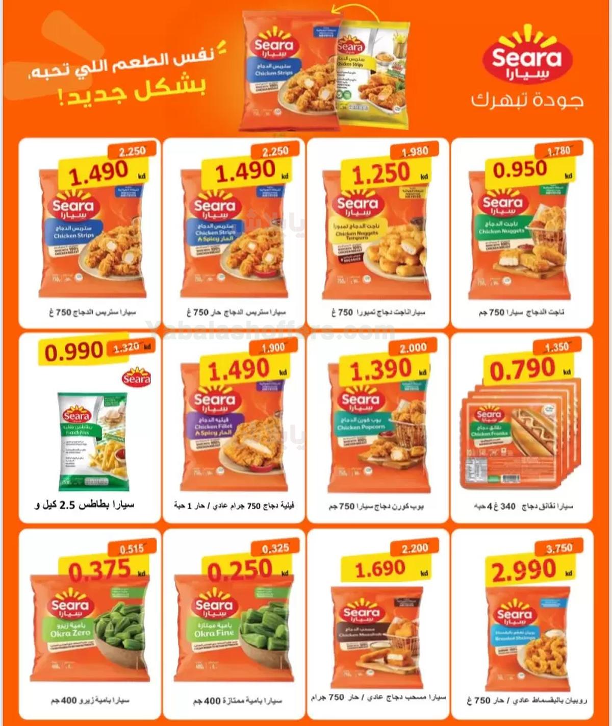 صفحة 4