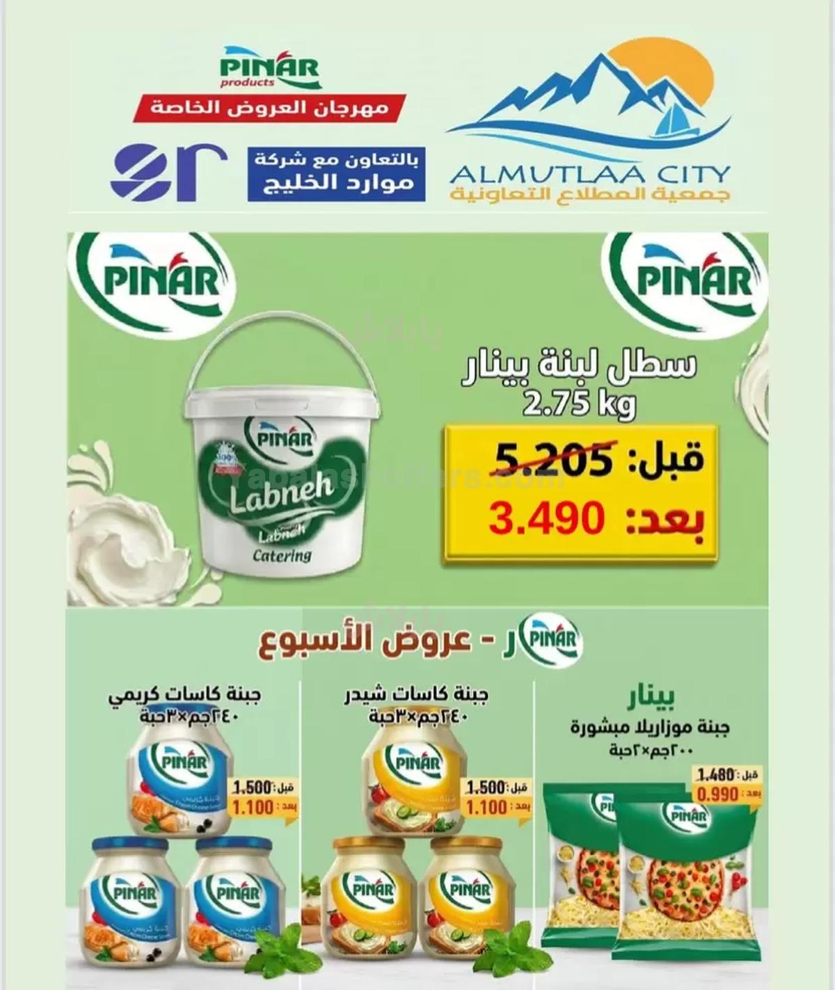 صفحة 14