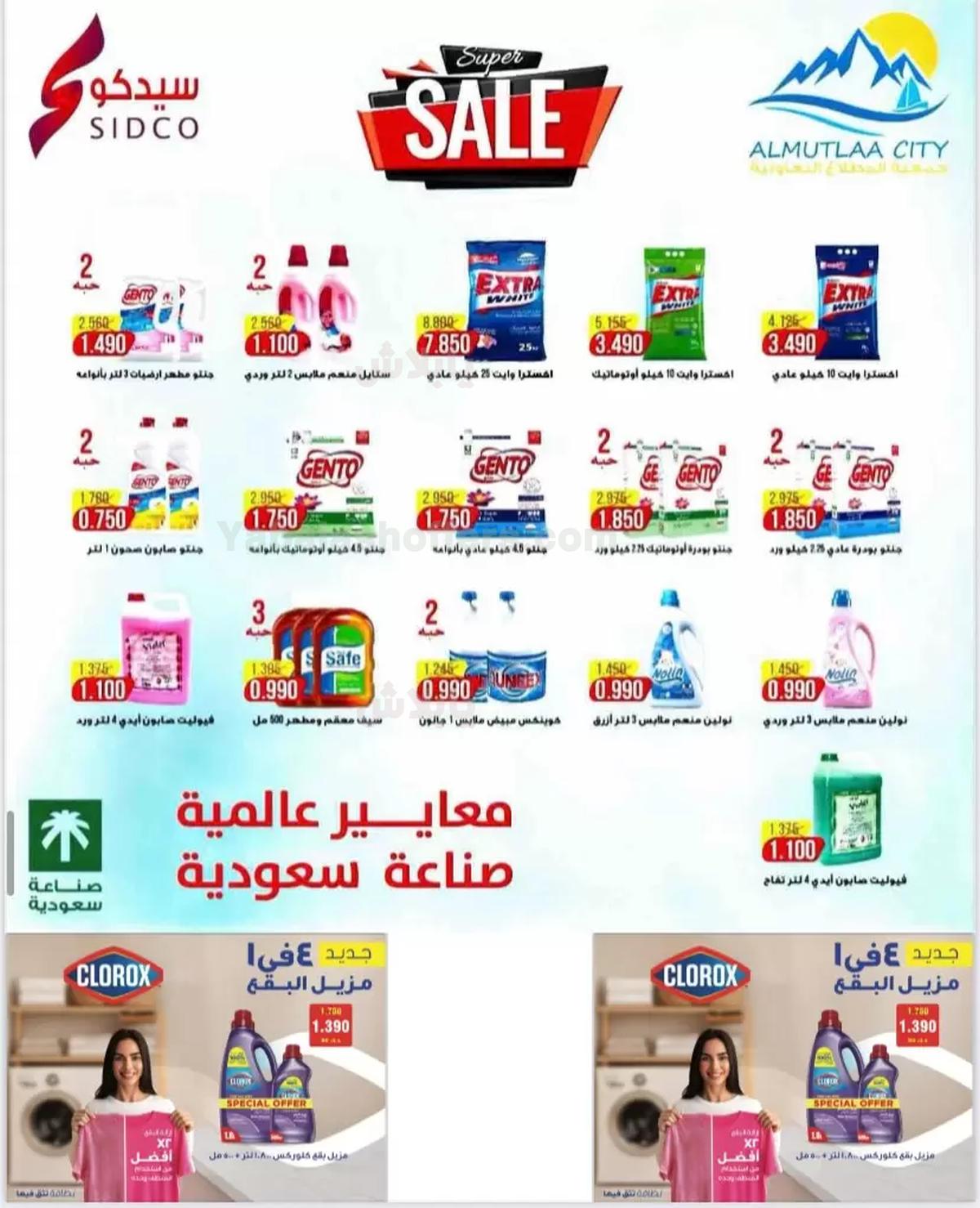 صفحة 33