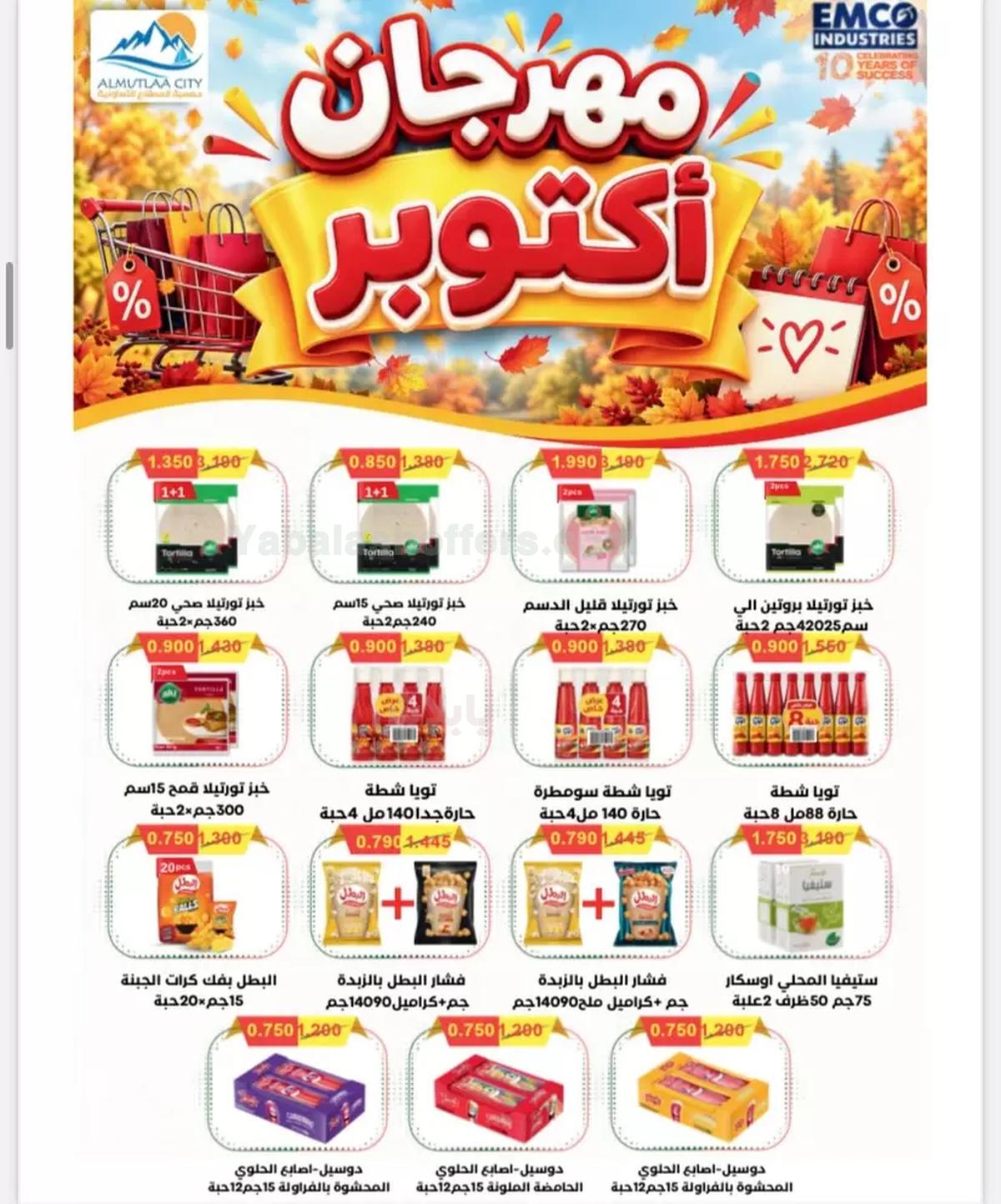 صفحة 15