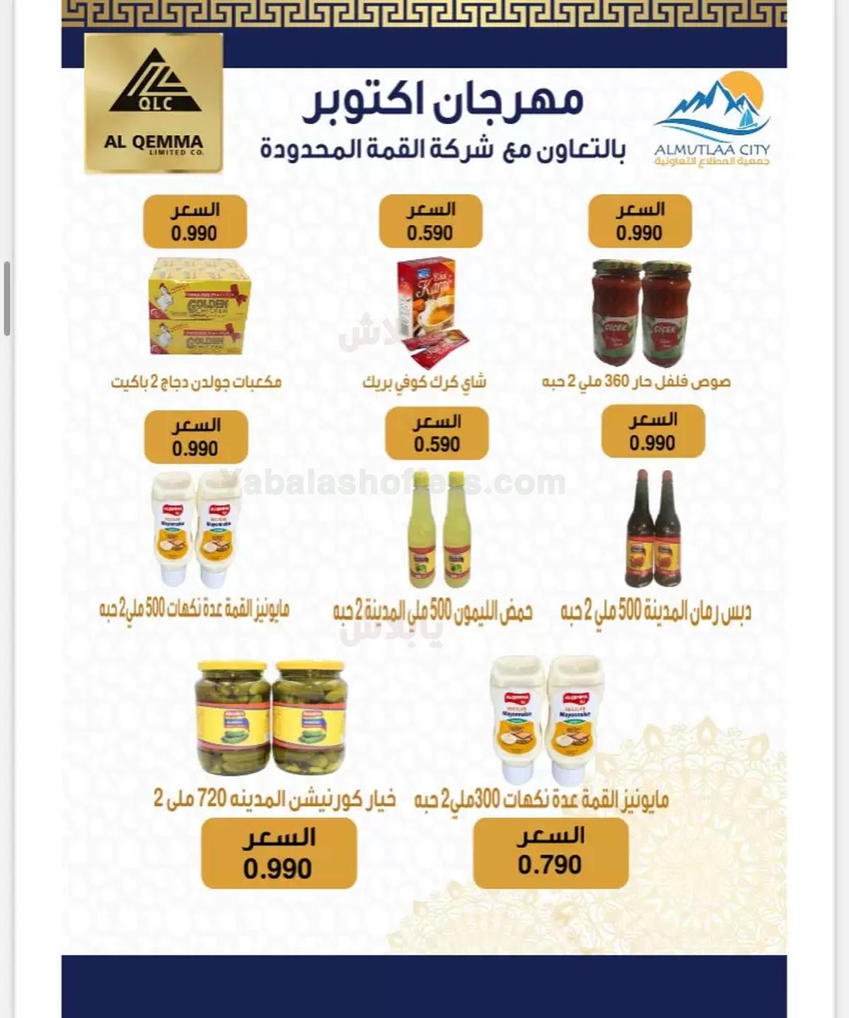 صفحة 24