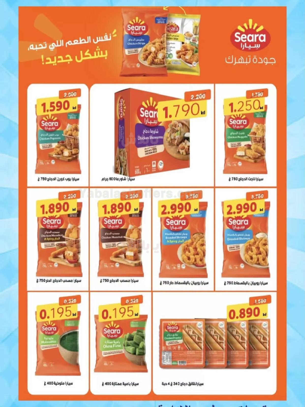 صفحة 4