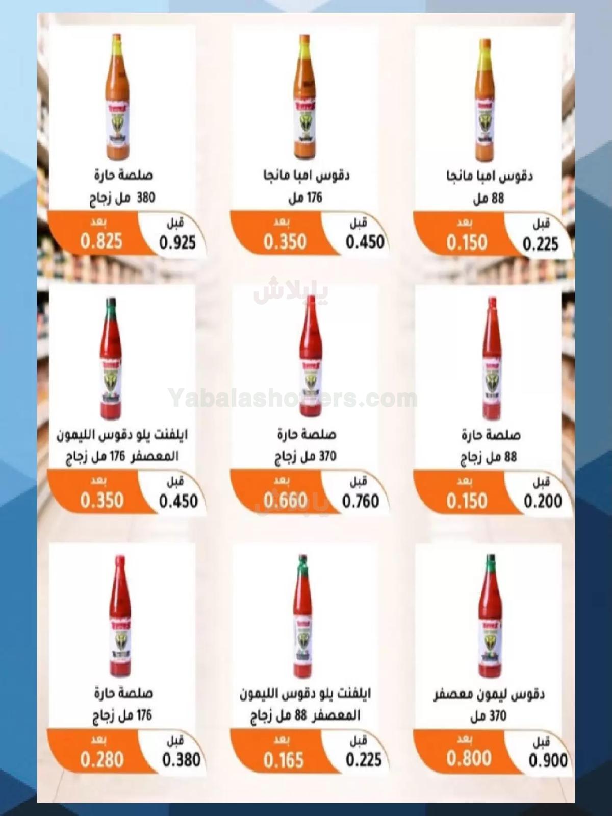 صفحة 17