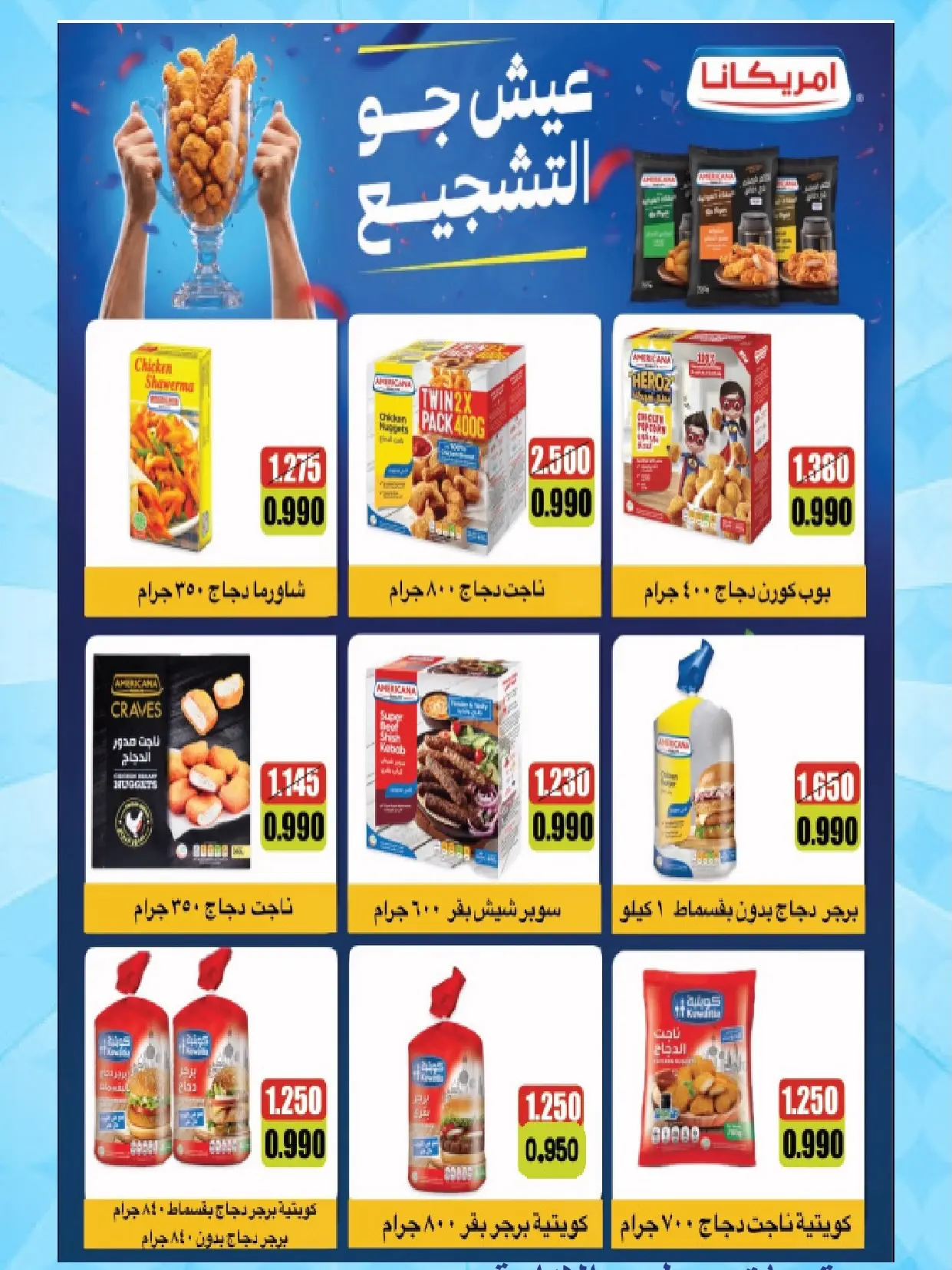 صفحة 17
