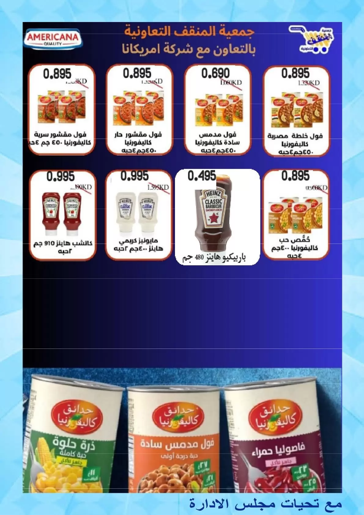 صفحة 19