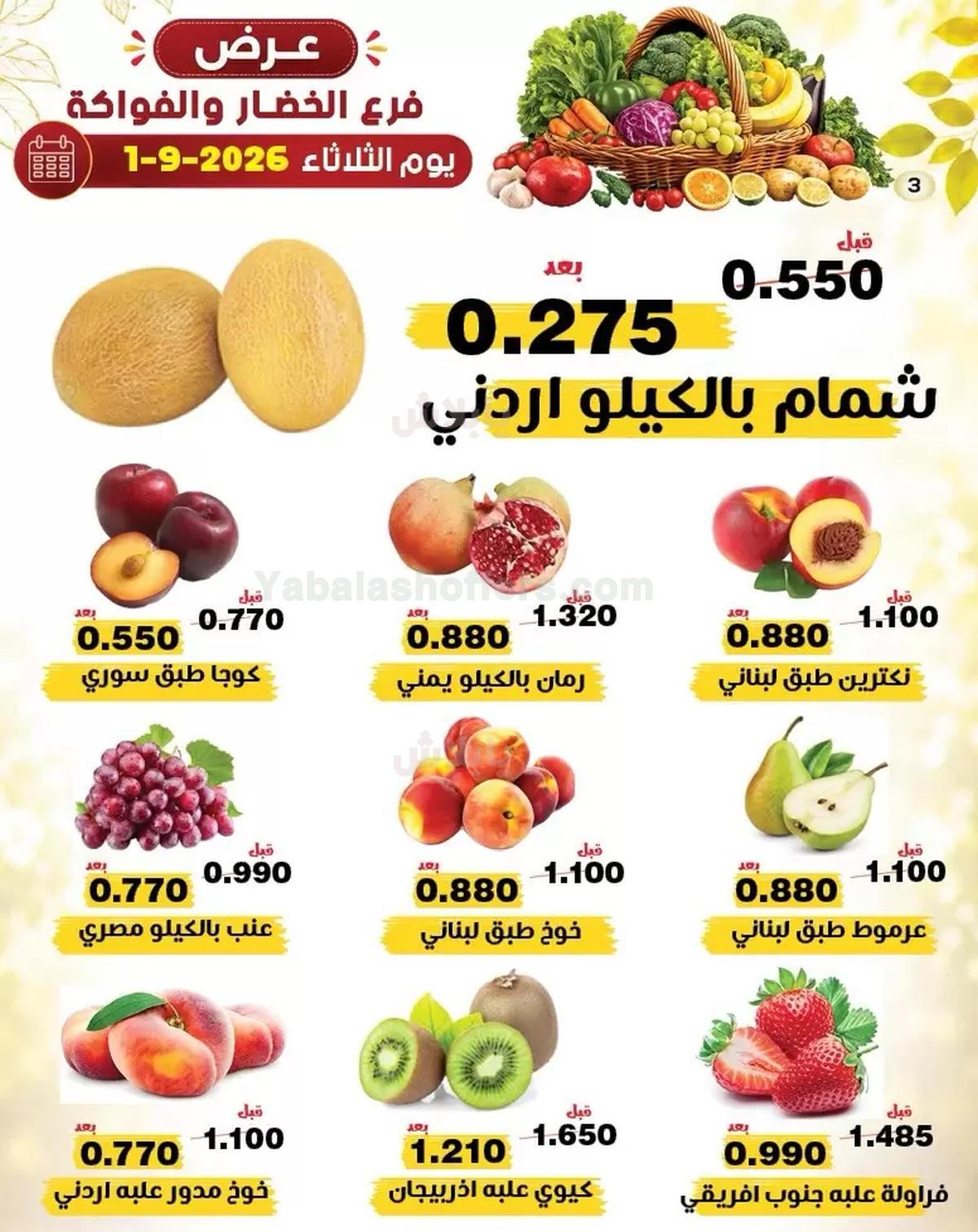 صفحة 3