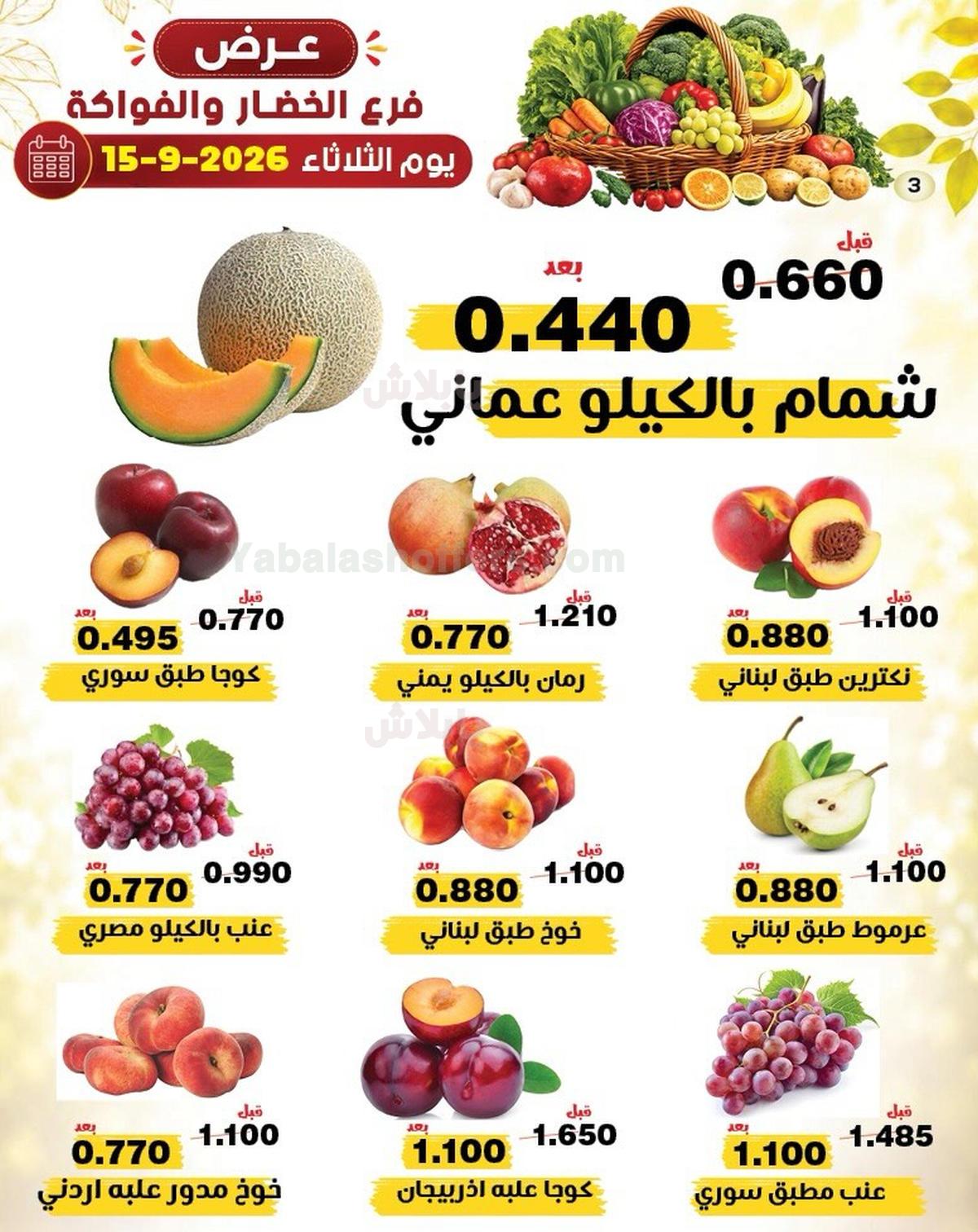 صفحة 2