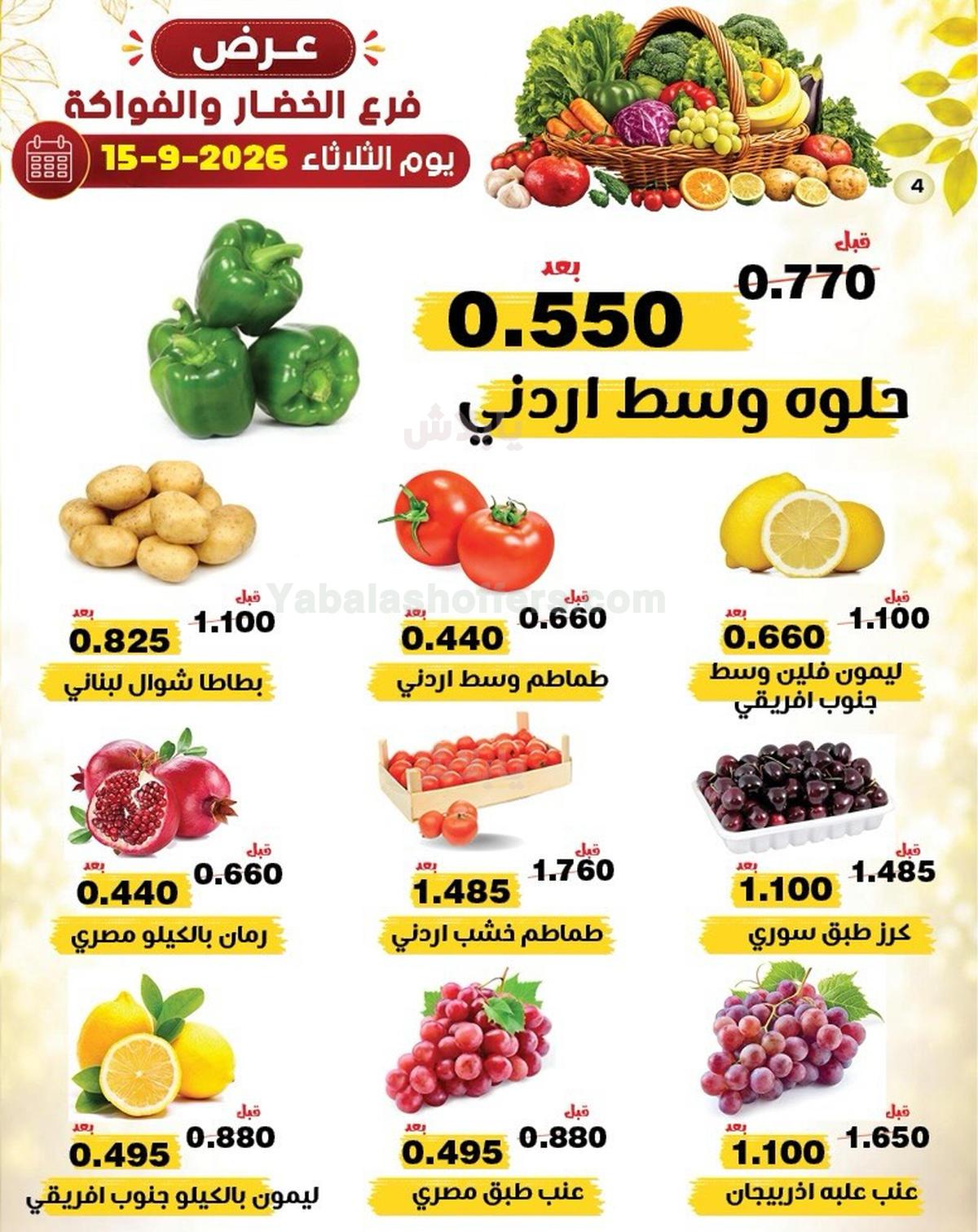 صفحة 3