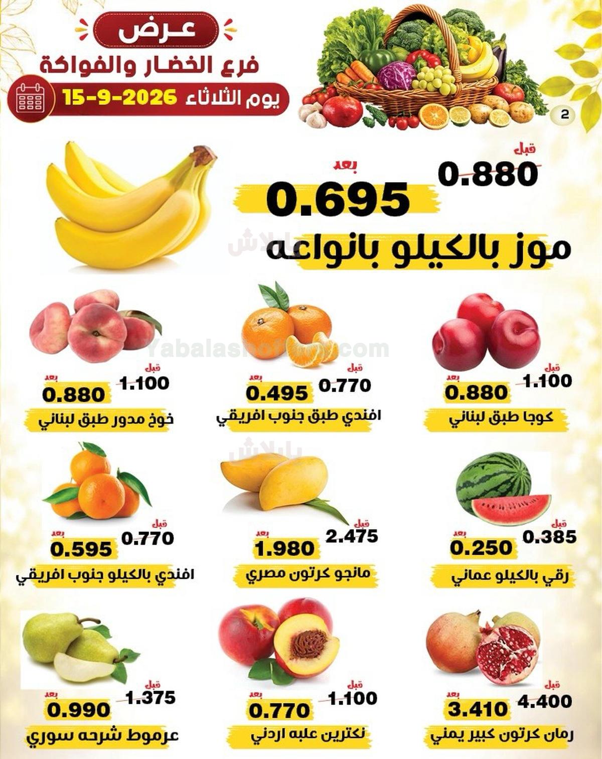 صفحة 4