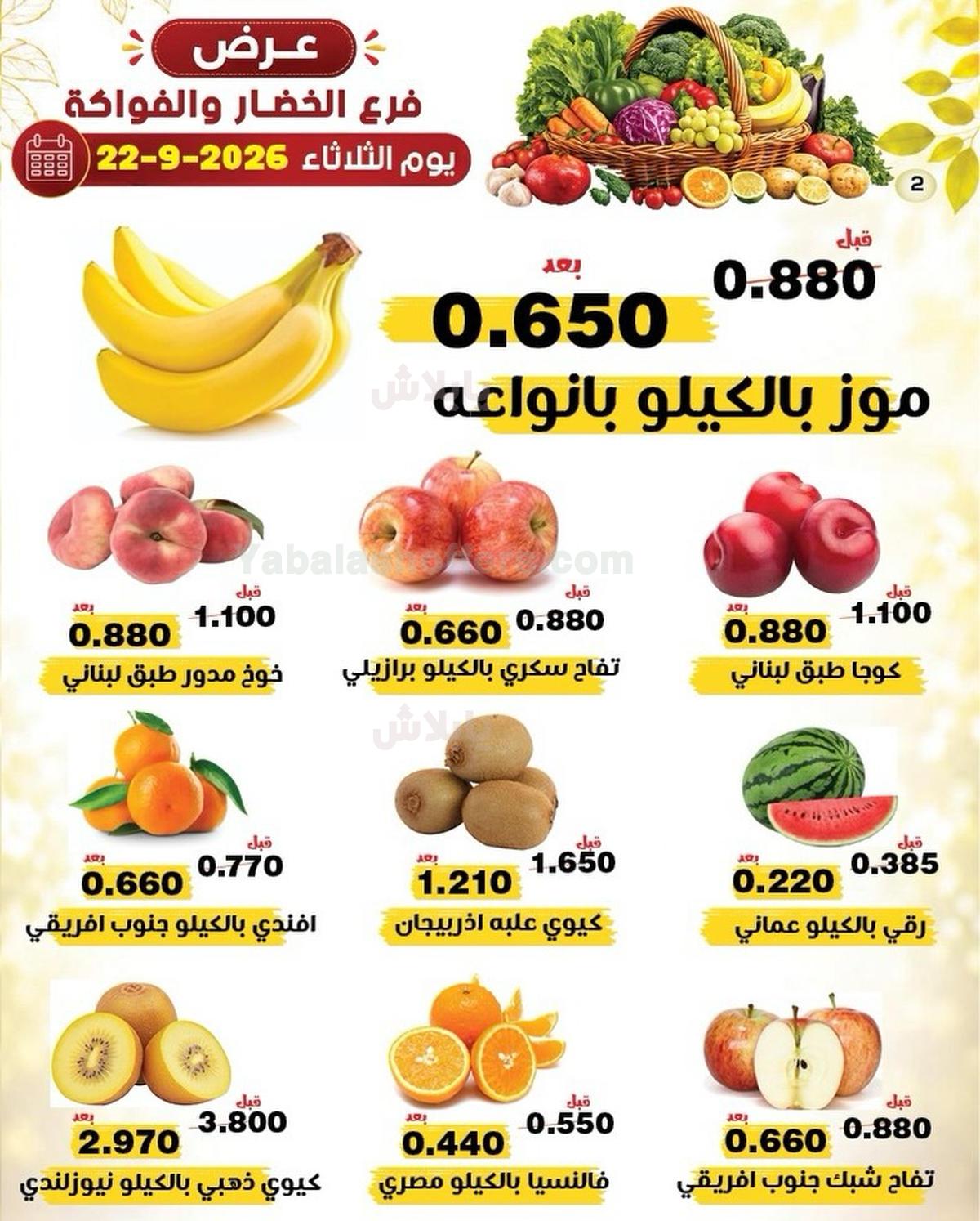 صفحة 2