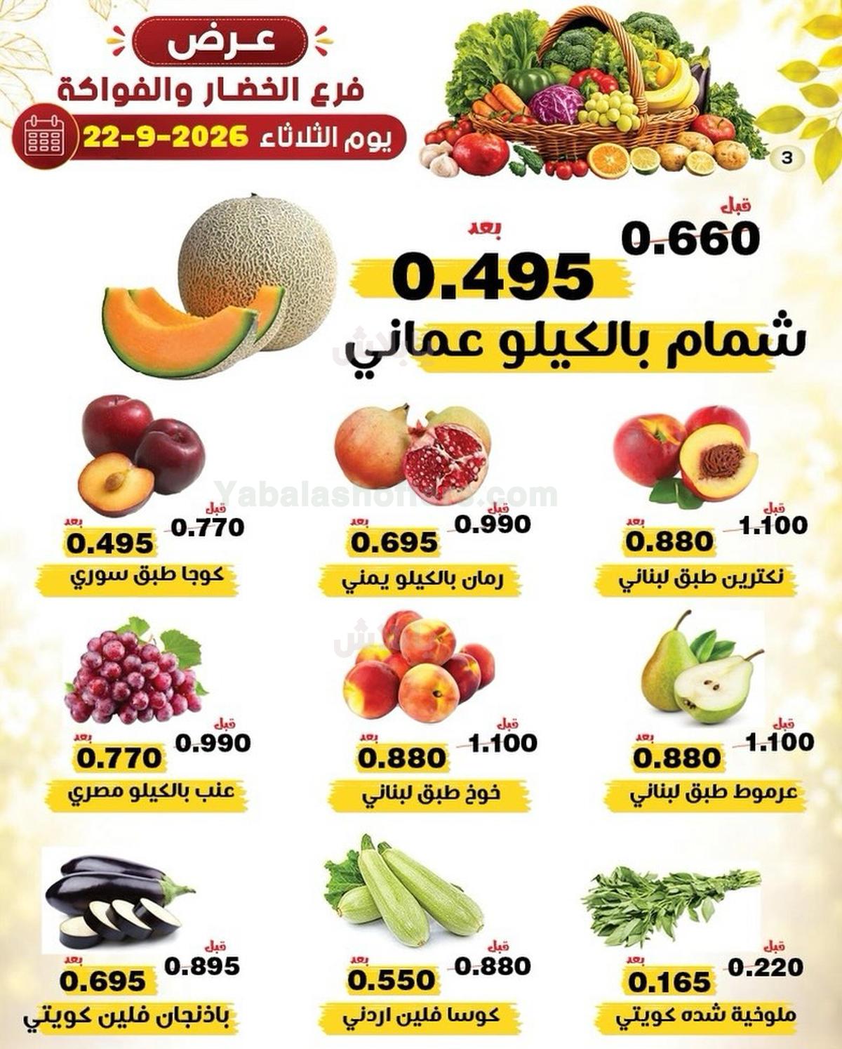 صفحة 3