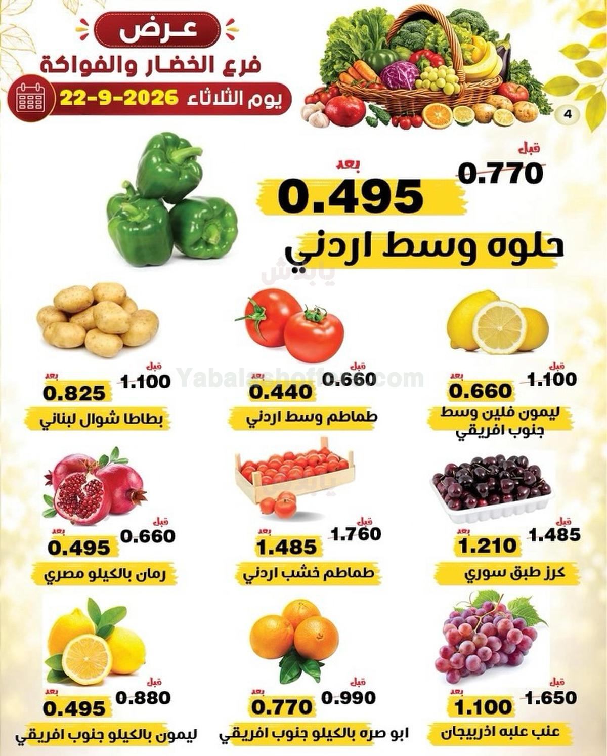 صفحة 4