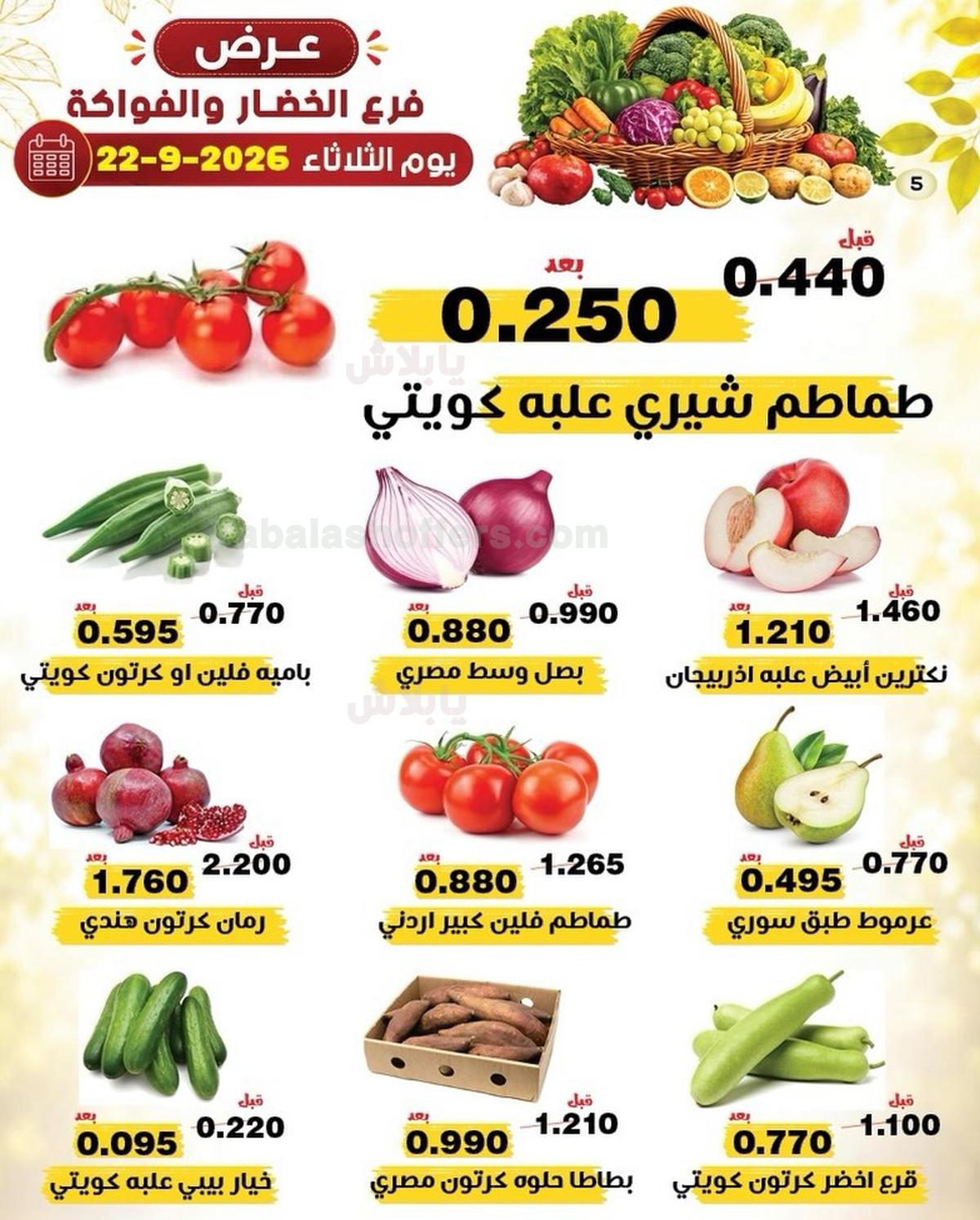 صفحة 5