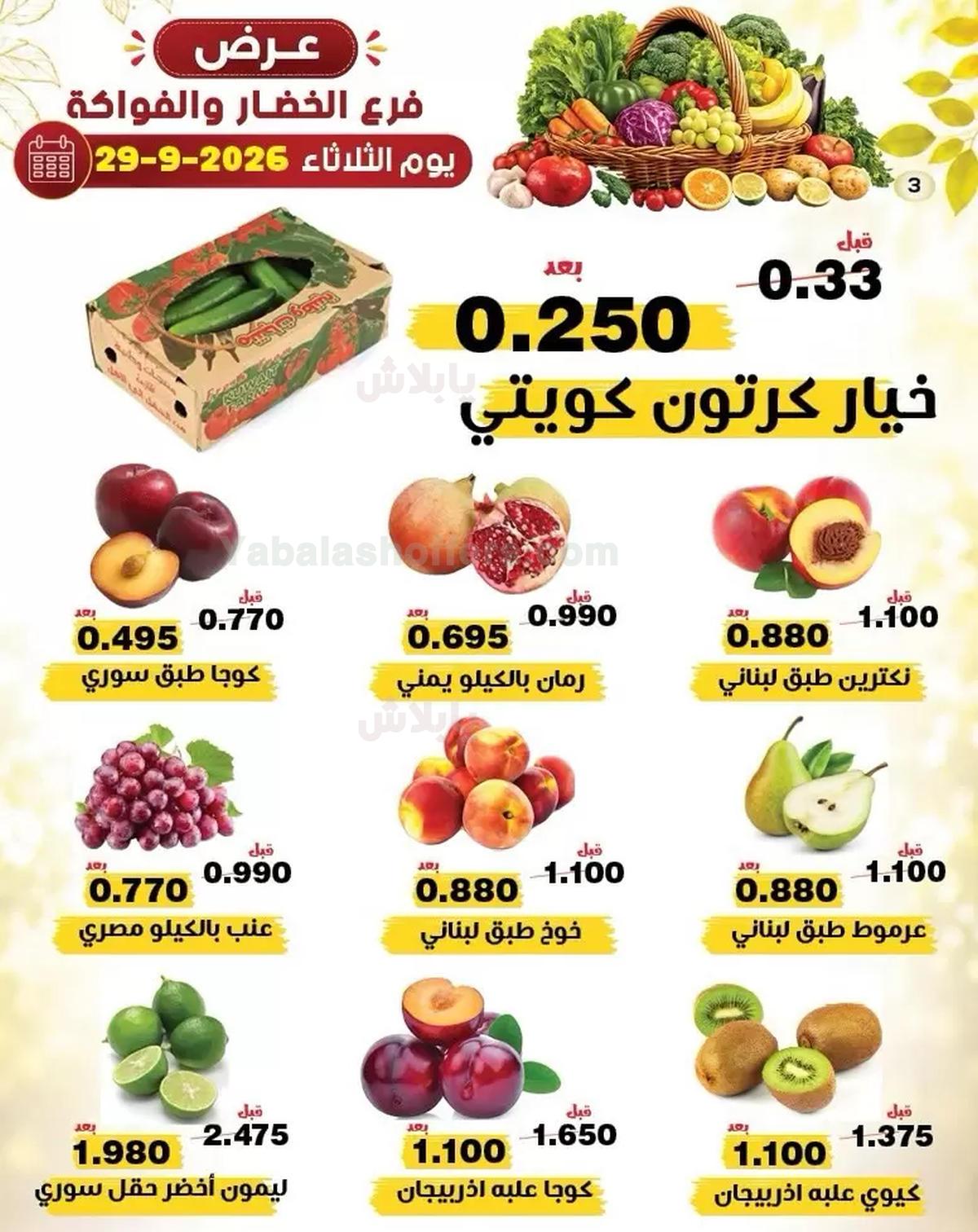 صفحة 3