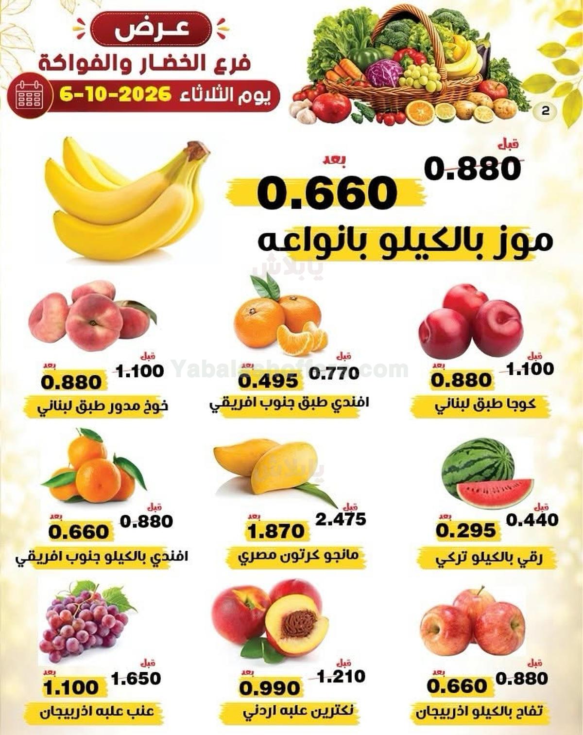 صفحة 2