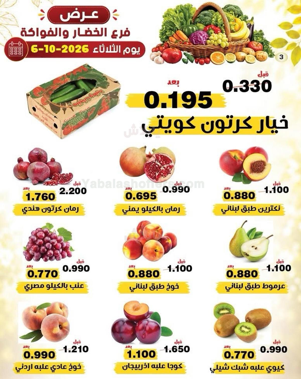 صفحة 3