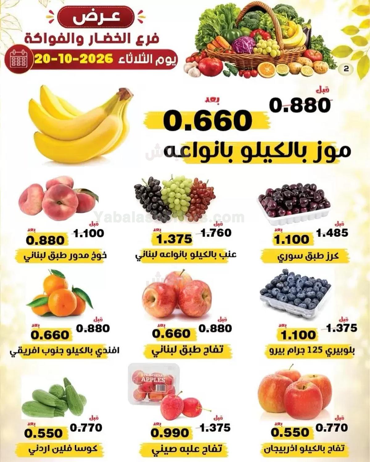 صفحة 2