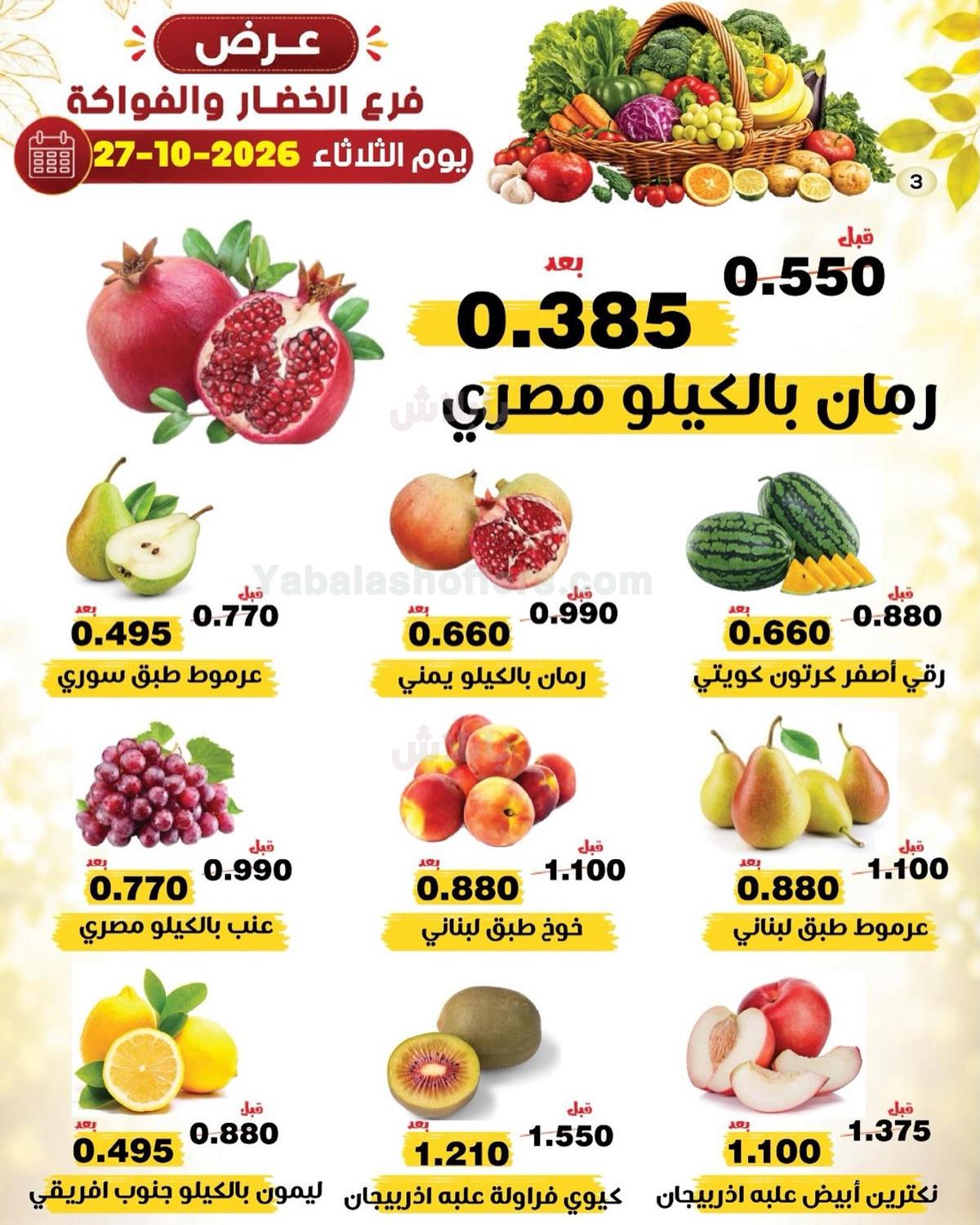 صفحة 3