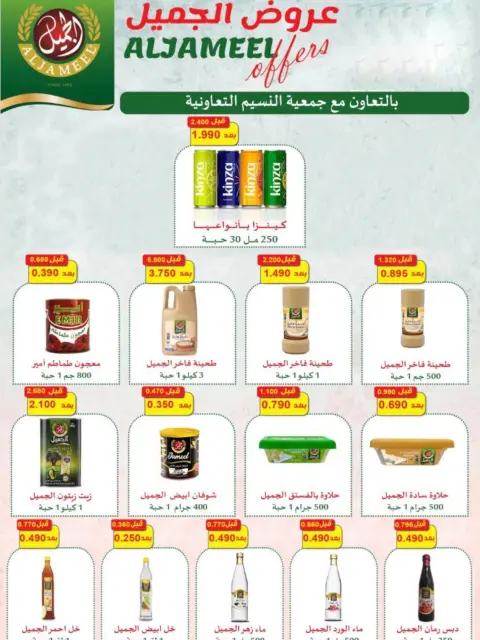 صفحة 29