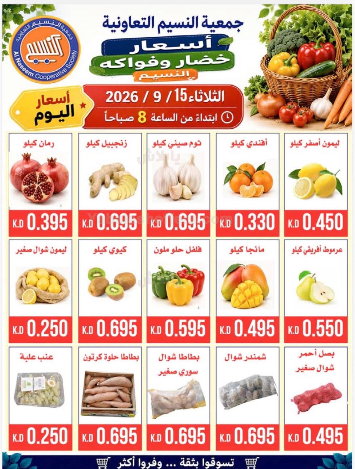 صفحة 3