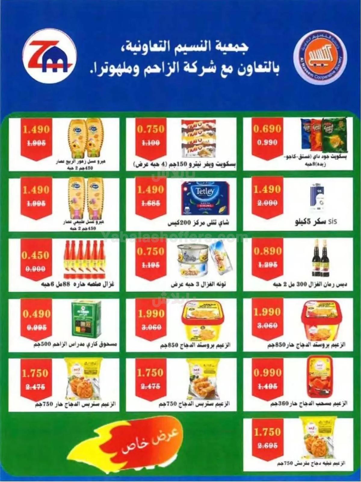 صفحة 17