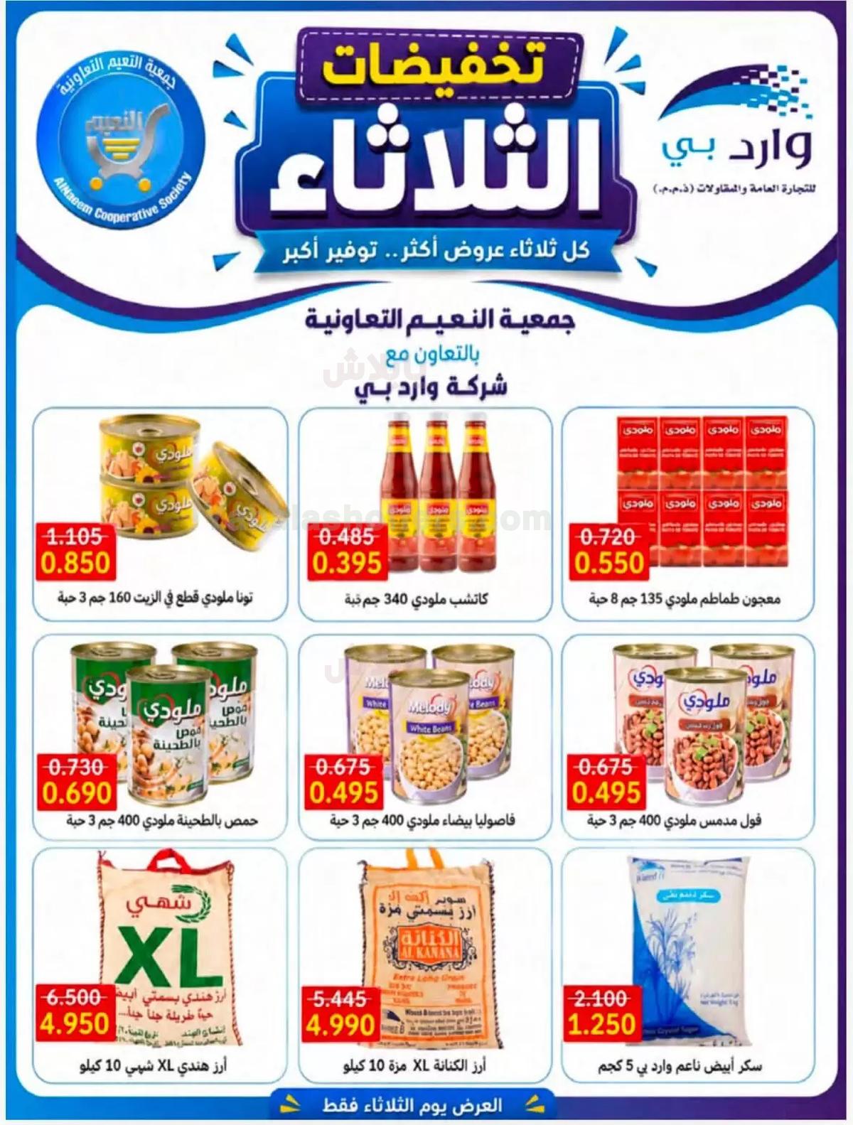 صفحة 19