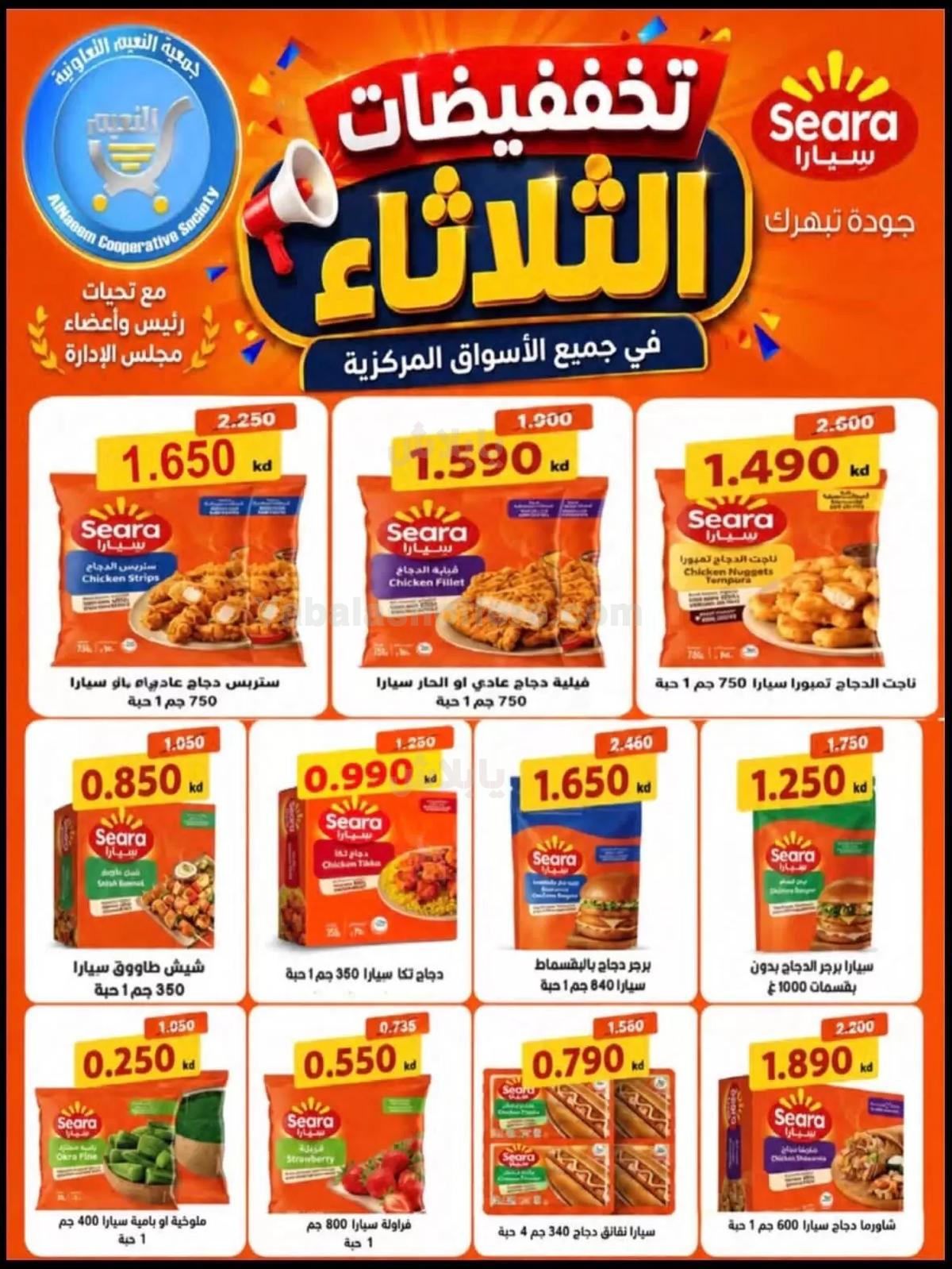 صفحة 13