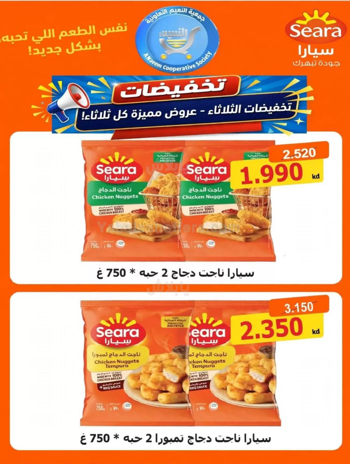 صفحة 2