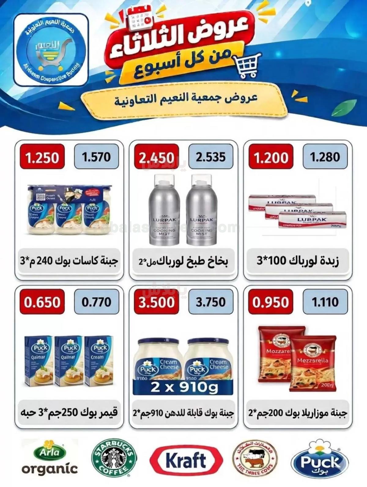 صفحة 11
