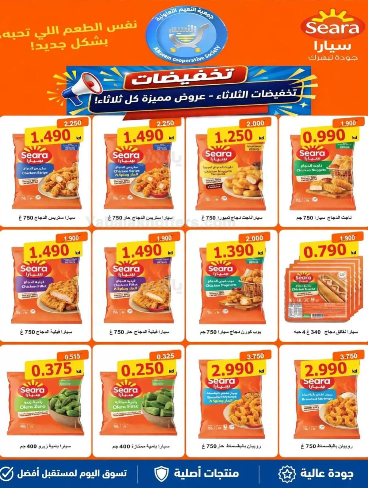 صفحة 12